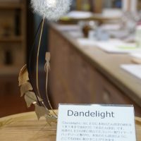 dandelightのご紹介