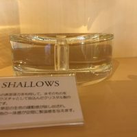 『SHALLOWS』のご紹介